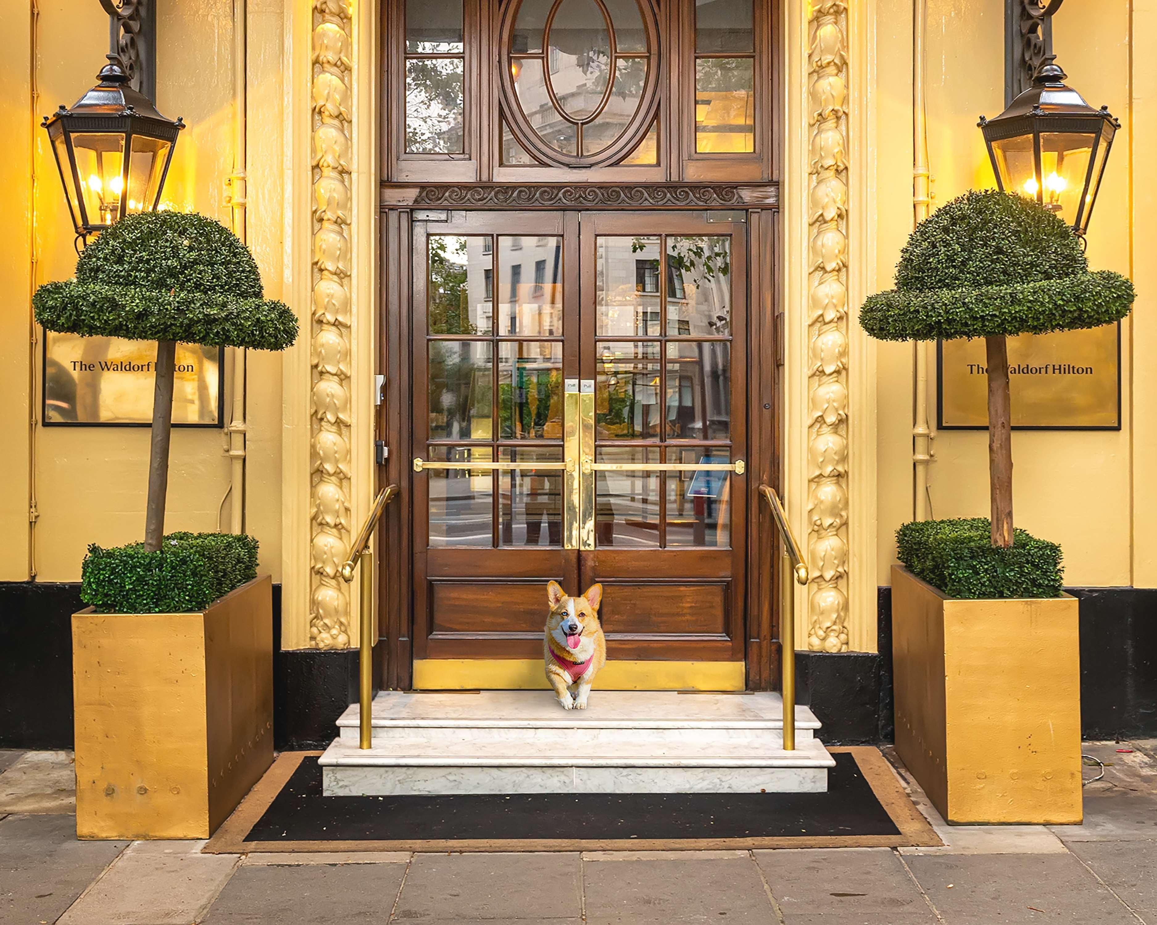 The Waldorf Hilton 4* Londra